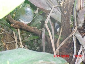 Stuttgart Zoo 004.JPG