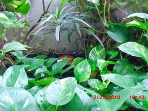 Stuttgart Zoo 013.JPG