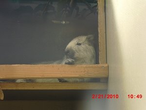 Stuttgart Zoo 025.JPG