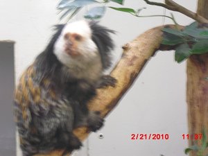 Stuttgart Zoo 049.JPG