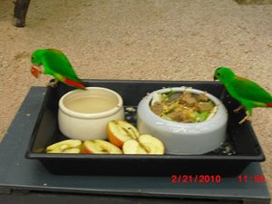 Stuttgart Zoo 056.JPG