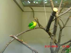 Stuttgart Zoo 057.JPG