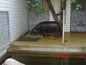 Stuttgart Zoo 102.JPG
