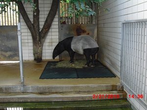 Stuttgart Zoo 105.JPG