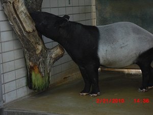 Stuttgart Zoo 106.JPG