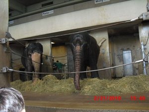 Stuttgart Zoo 117.JPG