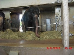 Stuttgart Zoo 118.JPG