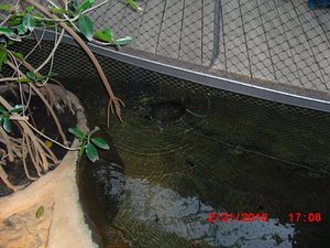 Stuttgart Zoo 127.JPG