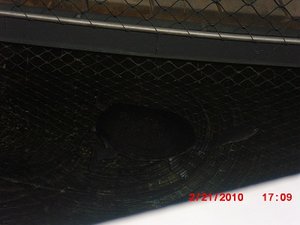 Stuttgart Zoo 128.JPG