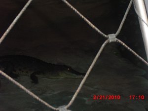 Stuttgart Zoo 129.JPG