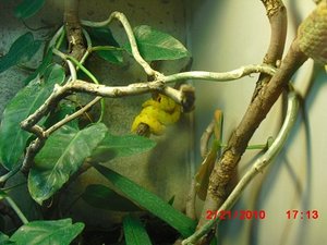 Stuttgart Zoo 133.JPG