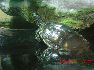 Stuttgart Zoo 138.JPG