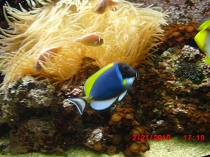 Stuttgart Zoo 149.JPG