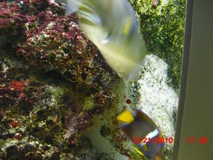 Stuttgart Zoo 152.JPG