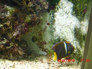 Stuttgart Zoo 153.JPG