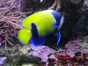 Stuttgart Zoo 155.JPG