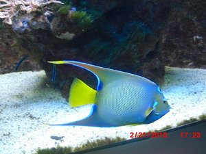 Stuttgart Zoo 165.JPG