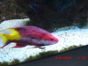 Stuttgart Zoo 167.JPG