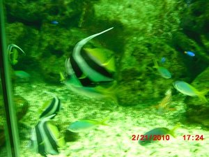 Stuttgart Zoo 168.JPG