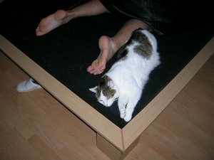 Charly an Kevions FÃ¼ÃŸen.JPG