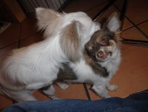 fame besteigt naomi.jpg