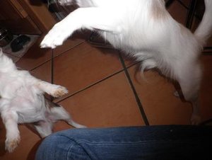 fame und naomi beim spielen.jpg