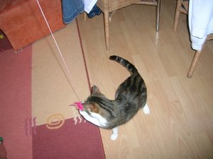 Ohh toll Beute M-F.JPG