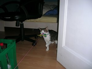 M-F Lass Los is meins  .JPG