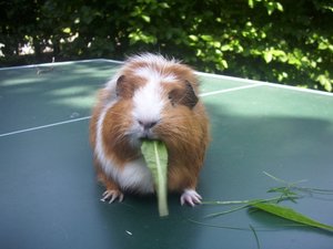 Kamerabilder 096.jpg