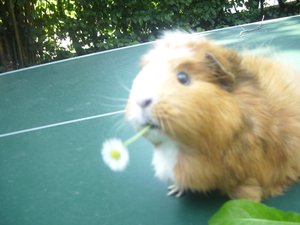 Kamerabilder 092.jpg