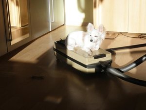 fame staubsauger 2.jpg