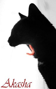 Akasha - Kopie.jpg