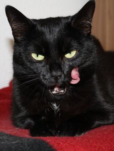 IMG_1393 - Kopie.JPG