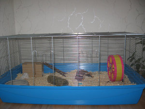 Jamaicas KÃ¤fig 001.jpg