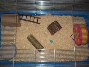 Jamaicas KÃ¤fig 002.jpg