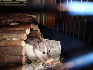 DSC01378.jpg verkleinert.jpg