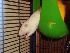 DSC01366.jpg verkleinert.jpg