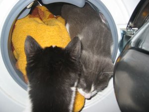 Merlin und Mogli 051.jpg