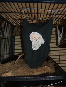 DSCF1302.jpg verkleinert.jpg