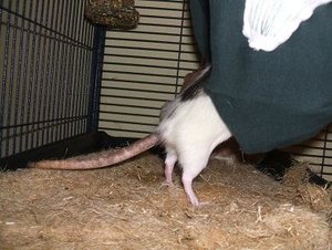 DSCF1309.jpg verkleinert.jpg