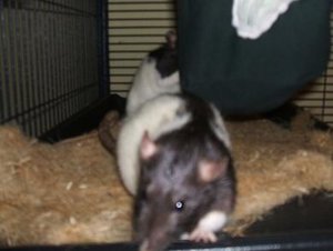 DSCF1313.jpg verkleinert.jpg