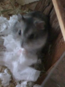 theo frisst klopapier.jpg