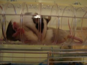 DSC00903.jpg verkleinert.jpg