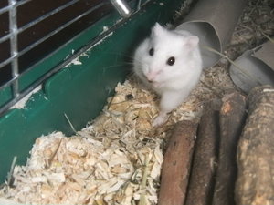 beim putzen.jpg beim putzen.jpg