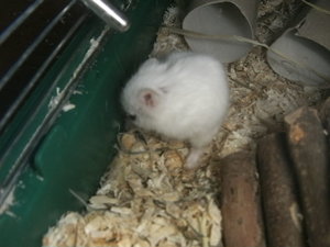 beim putzen1.jpg beim putzen1.jpg