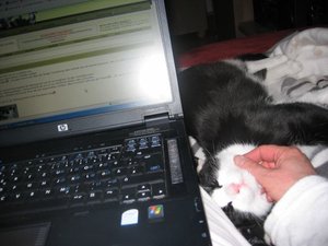 die zwei Rabauken 005.jpg