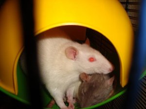 DSC01412.jpg verkleinert.jpg