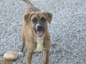 2009-10-Kreta 002.jpg