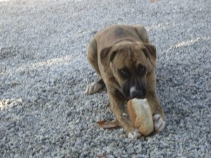 2009-10-Kreta 001.jpg