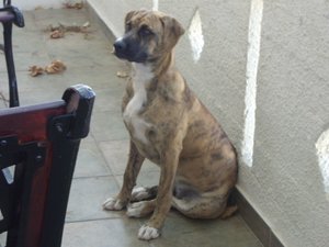 2009-10-Kreta 003.jpg